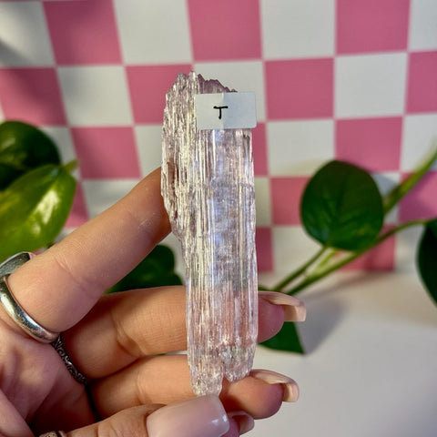 Glossy Pink Kunzite T 20 - Kenna's Crystals from TikTok