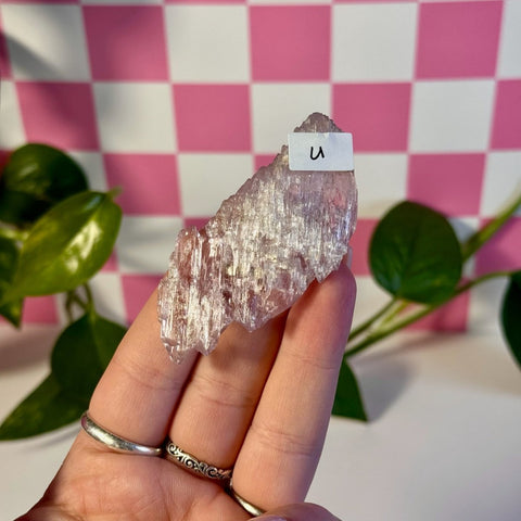 Glossy Pink Kunzite U 21 - Kenna's Crystals from TikTok