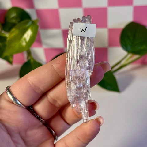 Glossy Pink Kunzite W 23 - Kenna's Crystals from TikTok