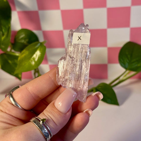 Glossy Pink Kunzite X 24 - Kenna's Crystals from TikTok