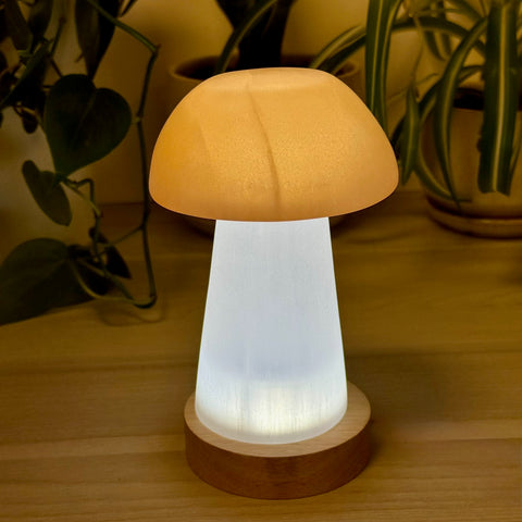 Golden-Mushroom Lamp - Kenna's Crystals