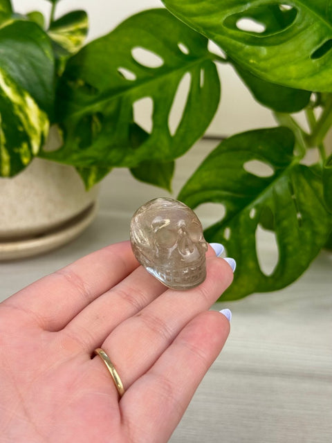 Golden Rutilated Skull 88 10 - Kenna's Crystals from TikTok