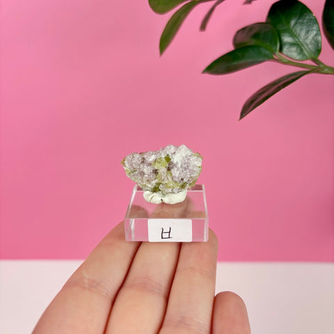 Graveyard Boquet Tourmaline - Kenna's Crystals