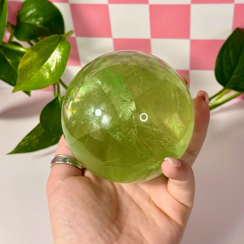 Green Grape Fluorite Sphere 566 21 - Kenna's Crystals from TikTok
