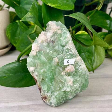 Green Tea Apophyllite R 18 - Kenna's Crystals from TikTok