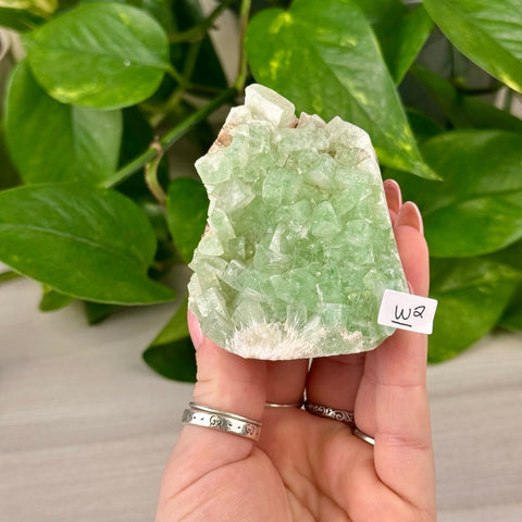 Green Tea Apophyllite W2 49 - Kenna's Crystals from TikTok