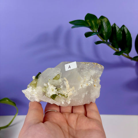 Green Tourmaline In Quartz Specimen - Kenna's Crystals