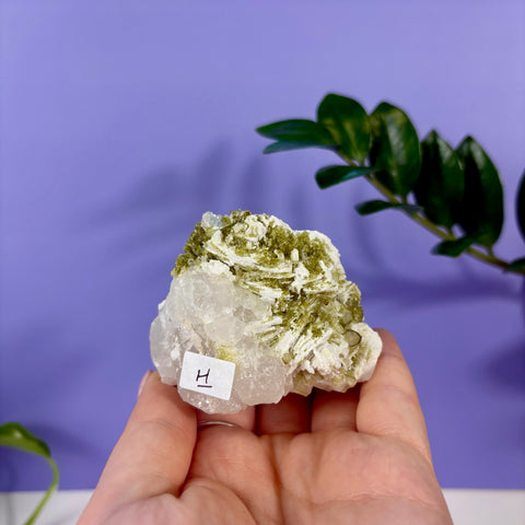 Green Tourmaline In Quartz Specimen - Kenna's Crystals