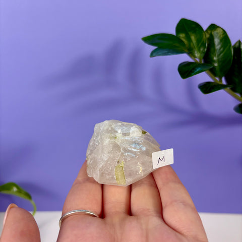 Green Tourmaline In Quartz Specimen - Kenna's Crystals