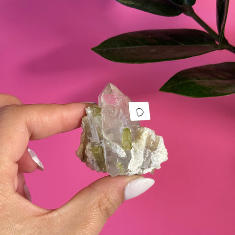 Hand holding a clear quartz and green tourmaline specimen (variant D) against a pink background.