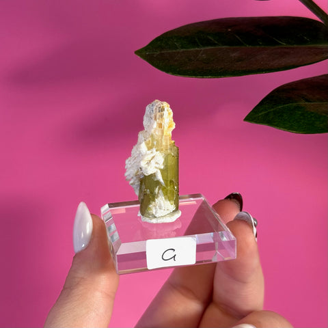 Green Tourmaline Specimen - Kenna's Crystals