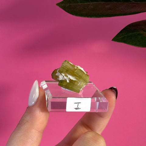 Vibrant green tourmaline specimen with white matrix on a clear stand, held by fingers.