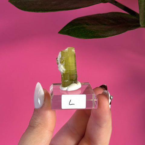 Green Tourmaline Specimen - Kenna's Crystals
