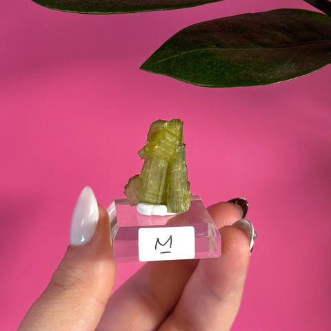 Green Tourmaline Specimen - Kenna's Crystals