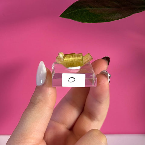Vibrant green tourmaline specimen on a clear stand, held by fingers with white nail polish.