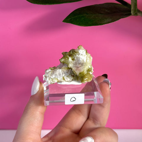 Vibrant green tourmaline specimen with white matrix on a clear acrylic stand, held by a hand.