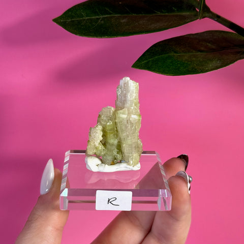 Green tourmaline specimen on a clear acrylic stand, held against a pink background with green leaves.