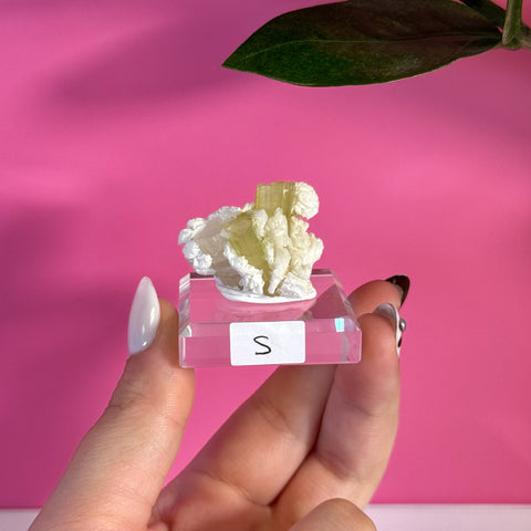 Small green tourmaline specimen on white matrix, held on a clear stand with "S" label.