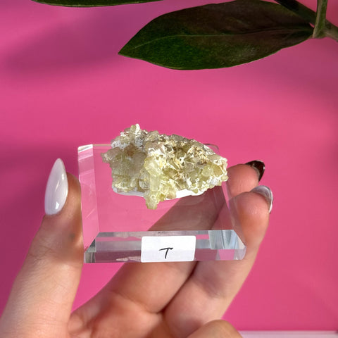 Pale green tourmaline specimen on a clear acrylic stand, held by a hand.