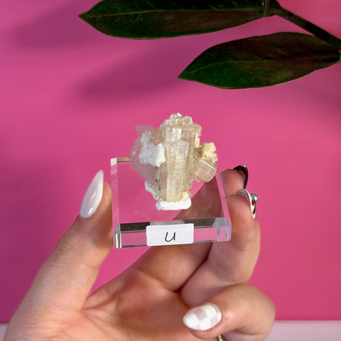 Small green tourmaline specimen on clear stand, held by hand with pink background.