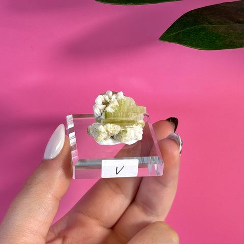 Green tourmaline specimen on a clear acrylic stand, held by a hand.