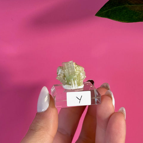 Green Tourmaline specimen Y on clear acrylic stand, held against a pink background.