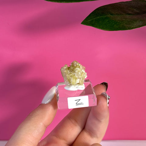 Green Tourmaline specimen on clear stand, held by hand. Variant Z.