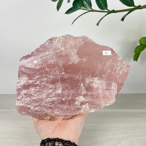 Large, raw chunk of translucent pink rose quartz held in a hand against a white background with green leaves.