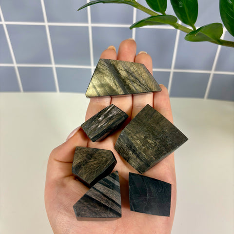 Hand holding five polished Hypersthene free form stones with metallic bronze and black sheen.
