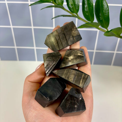 Hand holding five polished Hypersthene free form crystals with metallic bronze sheen and dark charcoal tones.