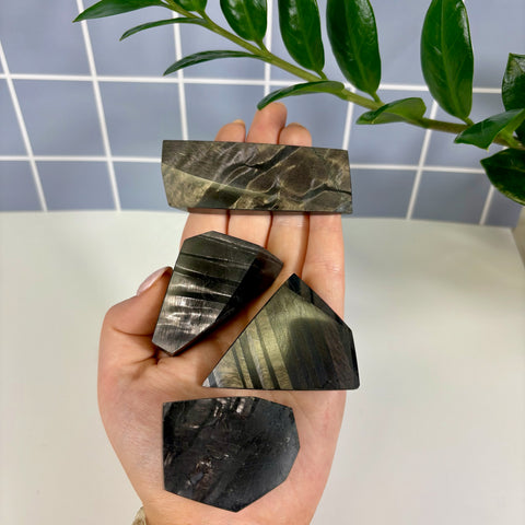 Hand holding four polished Hypersthene free form stones with metallic, dark grey, and bronze striped patterns.