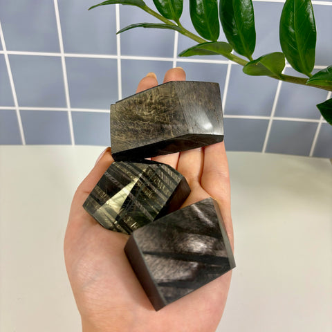 Three polished Hypersthene free form stones with metallic, shimmery brown and black patterns held in a hand.