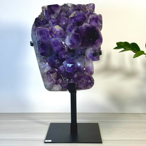 Incredible Amethyst Cluster On Stand D 4 - Kenna's Crystals from TikTok