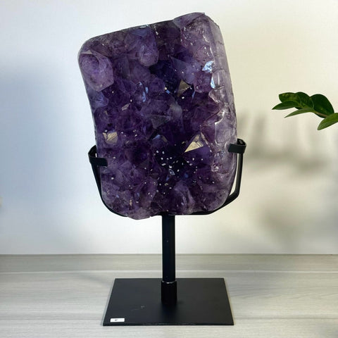 Incredible Amethyst Cluster On Stand E 5 - Kenna's Crystals from TikTok