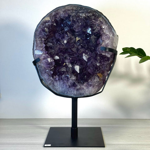 Incredible Amethyst Cluster On Stand F 6 - Kenna's Crystals from TikTok