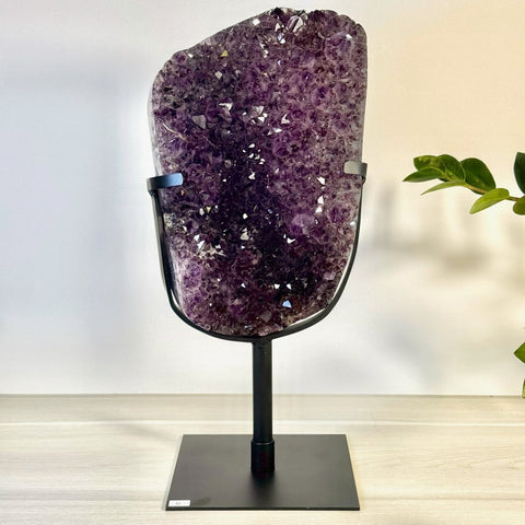 Incredible Amethyst Cluster On Stand G 7 - Kenna's Crystals from TikTok