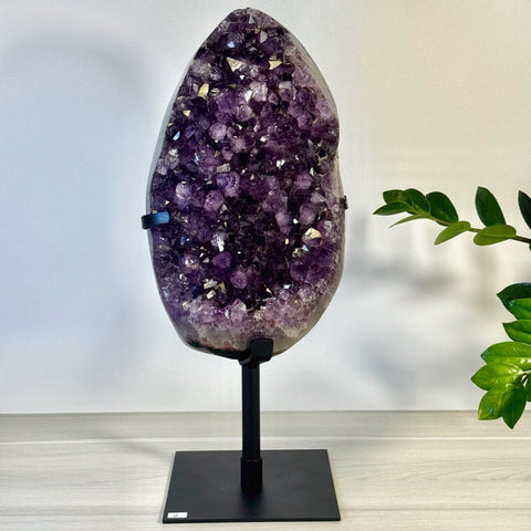 Incredible Amethyst Cluster On Stand H 8 - Kenna's Crystals from TikTok