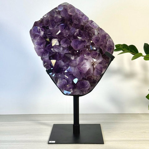 Incredible Amethyst Cluster On Stand I 9 - Kenna's Crystals from TikTok