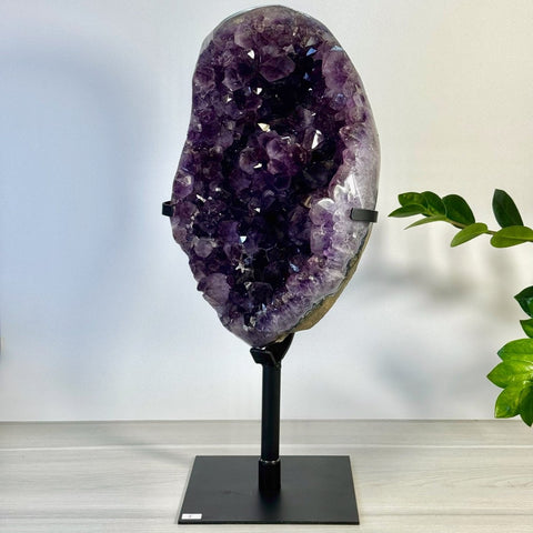Incredible Amethyst Cluster On Stand J 10 - Kenna's Crystals from TikTok