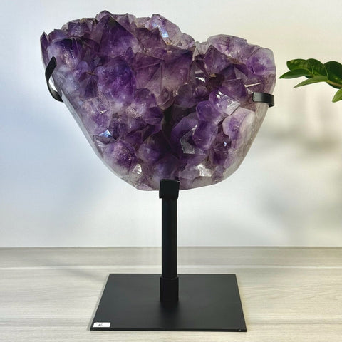 Incredible Amethyst Cluster On Stand K 11 - Kenna's Crystals from TikTok