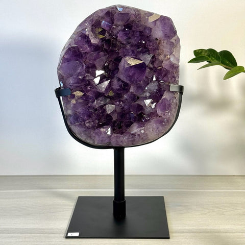 Incredible Amethyst Cluster On Stand L 12 - Kenna's Crystals from TikTok