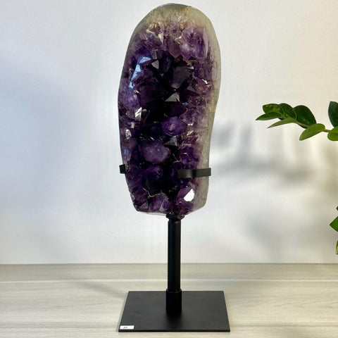 Incredible Amethyst Cluster On Stand M 13 - Kenna's Crystals from TikTok