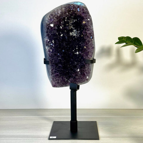 Incredible Amethyst Cluster On Stand N 14 - Kenna's Crystals from TikTok