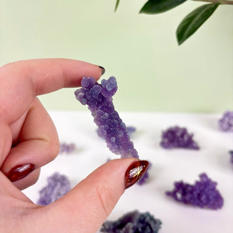 Hand holding a small, deep purple grape agate crystal cluster with a bubbly, botryoidal texture against a white background.