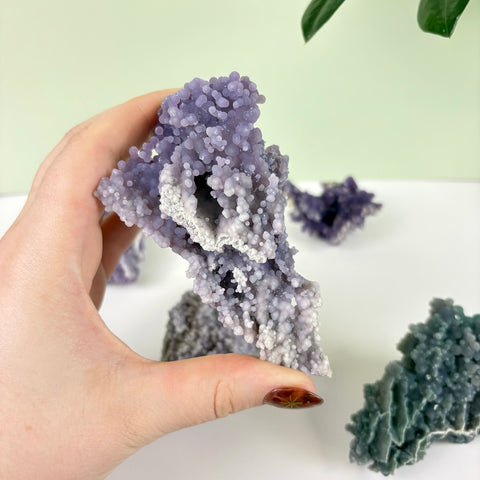 Hand holding a cluster of purple grape agate with botryoidal, berry-like crystal formations.