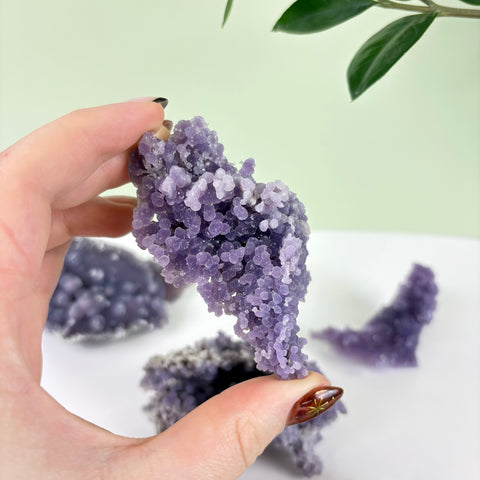 Hand holding a cluster of deep purple grape agate with botryoidal, bubbly crystal formations on a white surface.
