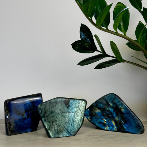 Intuitively Picked Labradorite Free Form - Kenna's Crystals