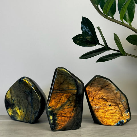 Intuitively Picked Labradorite Free Form - Kenna's Crystals