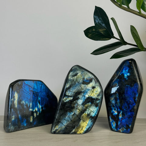 Intuitively Picked Labradorite Free Form - Kenna's Crystals