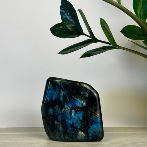 Intuitively Picked Labradorite Free Form - Kenna's Crystals